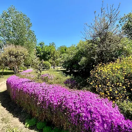 Апартаменты Oasi Di Pace E Relax