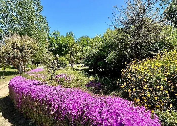 Apartman Oasi Di Pace E Relax